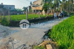 900 m2 view sông giá chỉ 500 triệu