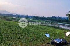 900 m2 view sông giá chỉ 500 triệu