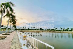 Đất mặt tiền đường dt818 trung tâm thị trấn thủ thừa 100m2 1 tỷ 34