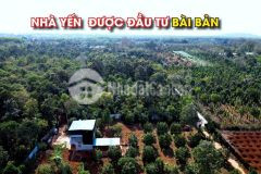Nhà vườn 7 sào thôn 4, xã eatu, tp. bmt giá 5,2 tỷ