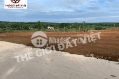 Công ty cp đầu tư và phát triển thế giới đất việt mua bán đất nền organic nature garden bình phước