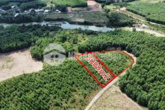 Bán đất vườn khánh hiệp giá rẻ gần sông chò đường oto