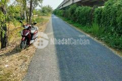 3000m2 đất vườn mặt tiền nhựa thạnh đức,bến lức, long an giá 7,5 tỷ