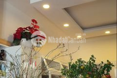 1 căn biệt thự mini đường trần đại nghĩa p8 đối diện khách sạn la đà lạt