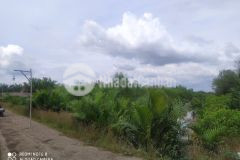 Bán 3911m2 đất bình khánh huyện cần giờ tphcm giá 5 tỷ 400