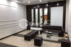 Mặt phố hoa bằng 7 tầng thang máy vỉa hè ô tô tránh kinh doanh ngày đêm