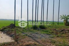 600 m2 view cánh đồng giá chỉ 950 triệu