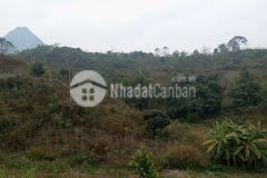 Chuyển nhượng 100 ha đất làm khu nghĩ dưỡng tại tỉnh hòa bình