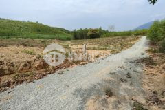 Bán đất vườn khánh nam giá rẻ giáp suối đường oto cách bê tông 200m