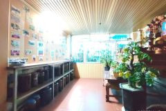 Đền lừ 2 phân lô, ô tô, kd, ô chờ tm, 50m2x10t, chỉ 17.49 tỷ.