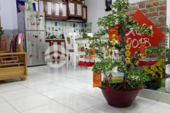 Bán căn hộ 135m2 có sân vườn riêng tuyệt đẹp cc thới an q12