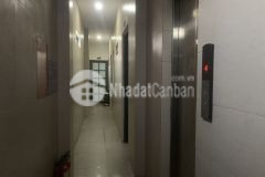 Vươn lai hxh 25 phong 5 lầu thang máy pccc 130m2 thu 100tr chi 13ty6