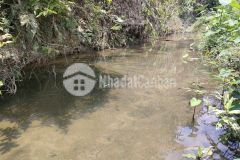 Bán đất khánh thượng giá rẻ giáp suối cách cách quốc lộ 27c chỉ hơn 1km