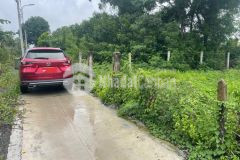 Bán đất lương văn nho, tt. cần thạnh, cần giờ 9 x 22,3m, giá 4,35 tỷ.