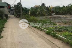 Chính chủ gửi bán lô đất trung nghĩa đồ sơn hp chỉ 7xx triệu