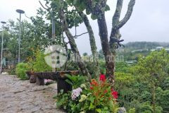 Cần bán home nghỉ dưỡng siêu chill 1200m2