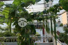 Hiếm nhà 2 tầng 100m2 mặt tiền mỹ an 12 nhỉnh 5 tỷ đường 5m5 lề 4m