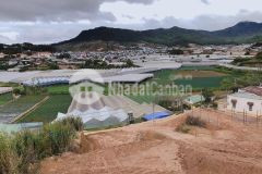 Diện tích 500m sổ riêng, hai mt view siêu đẹp p7