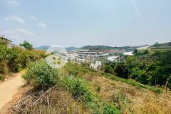 Bán đất nông nghiệp tại đường xuân thành, xuân thọ, tp đà lạt