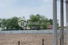 Chơn thanh central tâm nhin tuyêt vơi cho tương lai tươi sang.