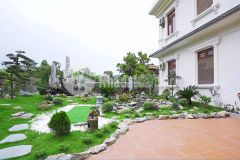 Cho thuê biệt thự 1000m2 đường nguyễn thị minh khai phường 8