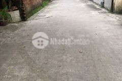 Bán nhanh 103m2 đất thổ cư, lạc hồng, văn lâm, giá tốt 0835459289