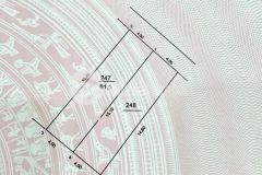 Cần bán gấp mảnh 61m2 lô đất tọa lạc tại hậu dưỡng kim chung đông anh hà nội.