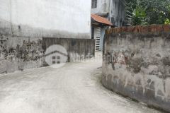 Chính chủ bán nhanh 62m đất nghĩa trai, tân quang, ô tô vào 0828218468