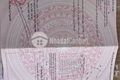 Cần bán mt nguyễn văn tạo hiệp phước nhà bè 7trm2