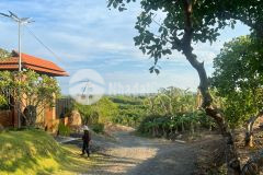 Đất view đồi phước tân, xuyên mộc, brvt 2 mẫu 20.000m2 giá rẻ chỉ 400 triệu sào