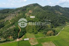 1.13 ha đất view đồi cát tiên, lâm đồng, giá rẻ chỉ 390 triệu, thích hợp làm homestay