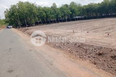 Chơn thành central cơ hội vàng đầu tư đất nền