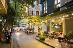 Chính chủ cần bán nhà phân lô oto đỗ cửa phố víp trung tâm nguyễnthịđịnh vừa ở kinh doanh tốt,