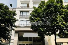 Bán nhà phố cổ tông đản, 95m2 6 tầng, 60 tỷ