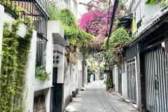 Chỉ 5.6 tỷ,hxh cách mạng tháng tám,tân bình, ở kd đỉnh, 43m2, 2 tầng