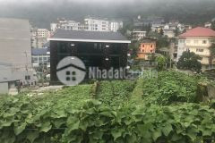 Bán 233m2 đất thôn 1 thị trấn tam đảo, huyện tam đảo, vĩnh phúc. lh 0986934038