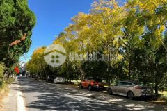 Bán nhà 3 tầng đã hoàn công rẻ nhất khu vực