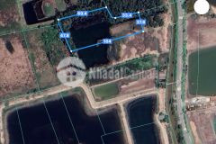 Bán đất mặt tiền lý nhơn, x. lý nhơn, cần giờ 10.189m2, giá 11,5 tỷ.