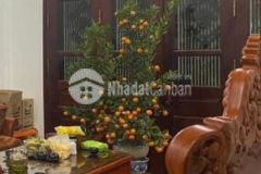 Bán biệt thự mini 81m2, 4t, ngõ ô tô tránh, ngọc lâm, long biên, hn giá 9 tỷ