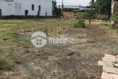 Bán đất thổ 2482m2 đường đoàn nguyễn tuân, huyện bình chánh