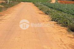 Nhanh tay nhanh tay, cơ hội cho khách xuống tiền đây ạ