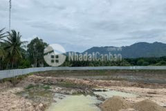 Bán đất trồng trồng lúa địa chỉ thôn bắc vĩnh