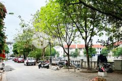 Bán nhà nguyễn văn trỗi mỗ lao, 39m2, mặt tiền hiếm 5.2m. ô tô, vỉa hè.