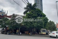 Siêu vip, siêu hiếm, vị trí kim cương, siêu phẩm kinh doanh ngọc chi vĩnh ngọc đông anh