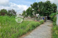 Đất khánh hậu tân an 4.000m thổ cư giá 45 tỉ