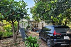 Bán lô đất vườn đã hoàn thiện tại diên điền, diên khánh 6686m2 chỉ 4.2 tỷ. lh0918552166.