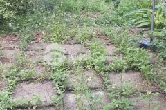 Hot hot cần tiền e bán nhanh lô đất với diện tích lên đến 9217m2 trong đó có 200m tc