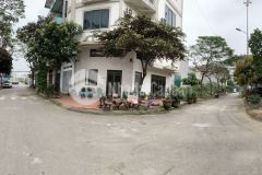 Cần bán nhanh 60m2 đất siêu đẹp khu tái định cư, trâu quỳ, gia lâm. view trực diện vườn hoa