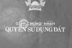 Cần bán nhanh miếng đất ở xã phước lộc, nhà bè.