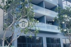 Phú yên, với bãi biển dài và phong cảnh hùng vĩ, đang thu hút sự quan tâm của các nhà đầu tư bất độn